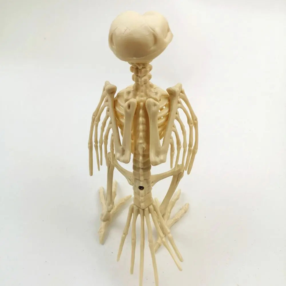 Posable Crow Skeleton Prop | Spooky Raven Skull & Bones Halloween Decor