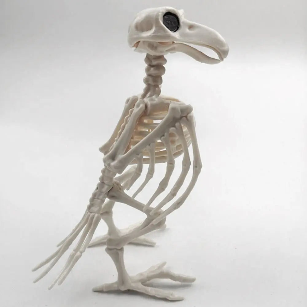 Posable Crow Skeleton Prop | Spooky Raven Skull & Bones Halloween Decor