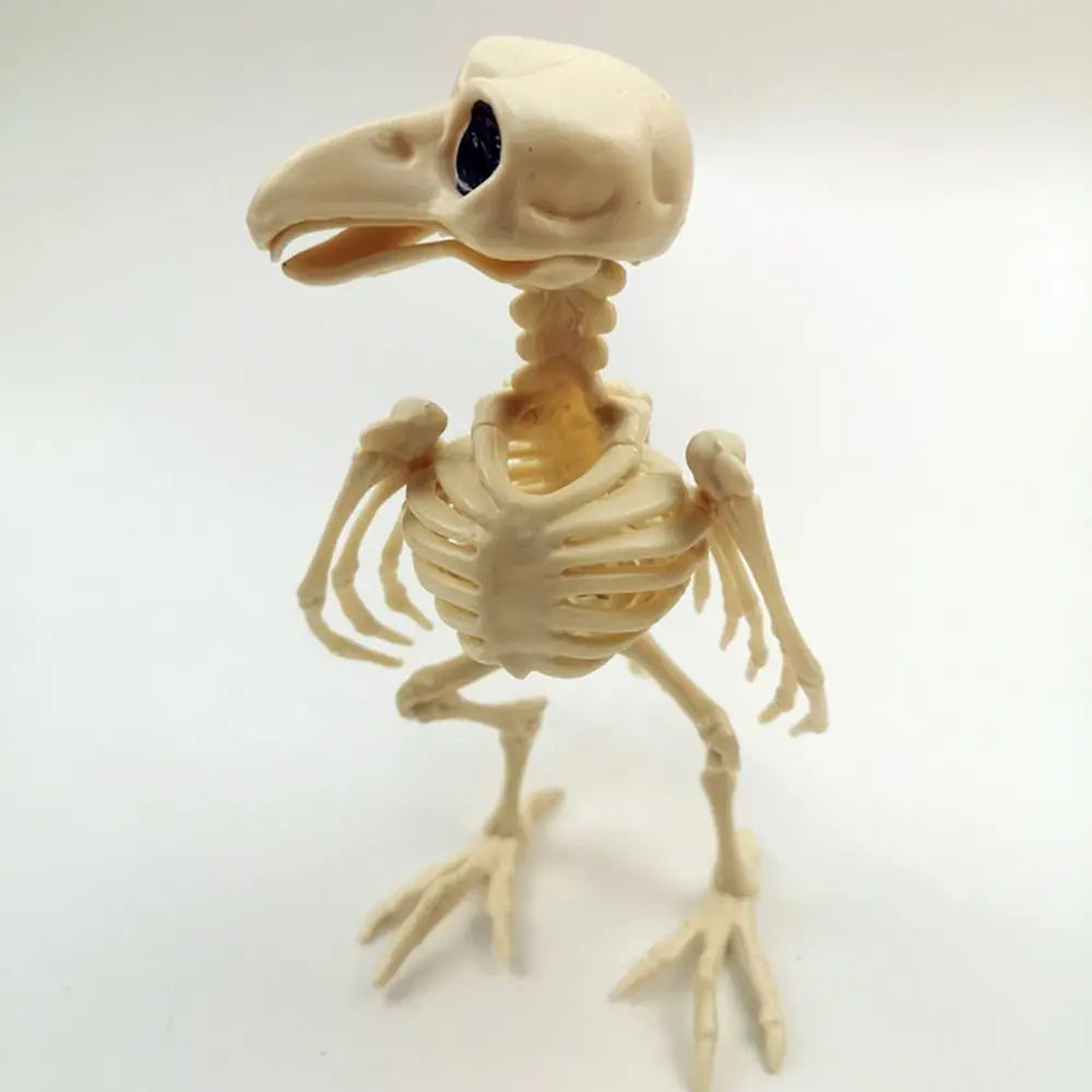 Posable Crow Skeleton Prop | Spooky Raven Skull & Bones Halloween Decor