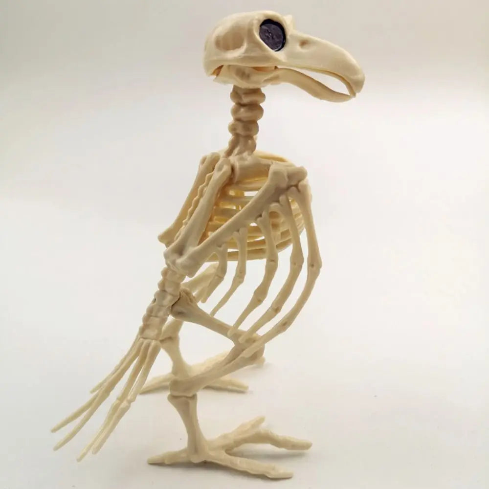 Posable Crow Skeleton Prop | Spooky Raven Skull & Bones Halloween Decor