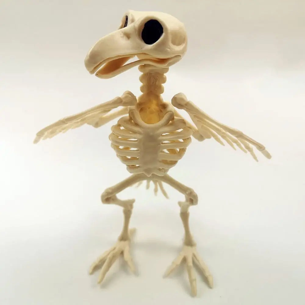 Posable Crow Skeleton Prop | Spooky Raven Skull & Bones Halloween Decor