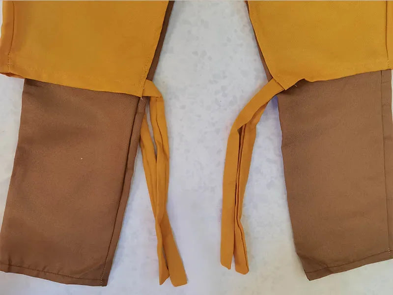Avatar: The Last Airbender Aang Cosplay Costume