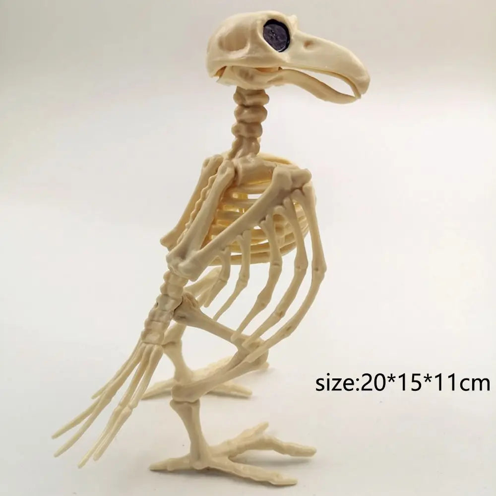 Posable Crow Skeleton Prop | Spooky Raven Skull & Bones Halloween Decor